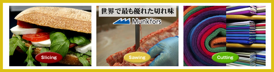 メイン画像モンクフォース２