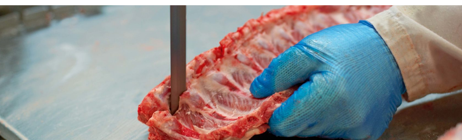 バンドナイフ・スライサーブレード